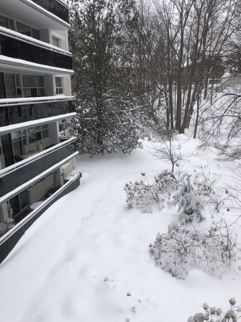 雪が降ったアパート